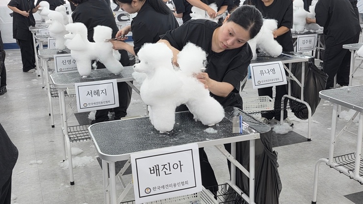 수강생이 흰색 반려견을 미용하는 모습