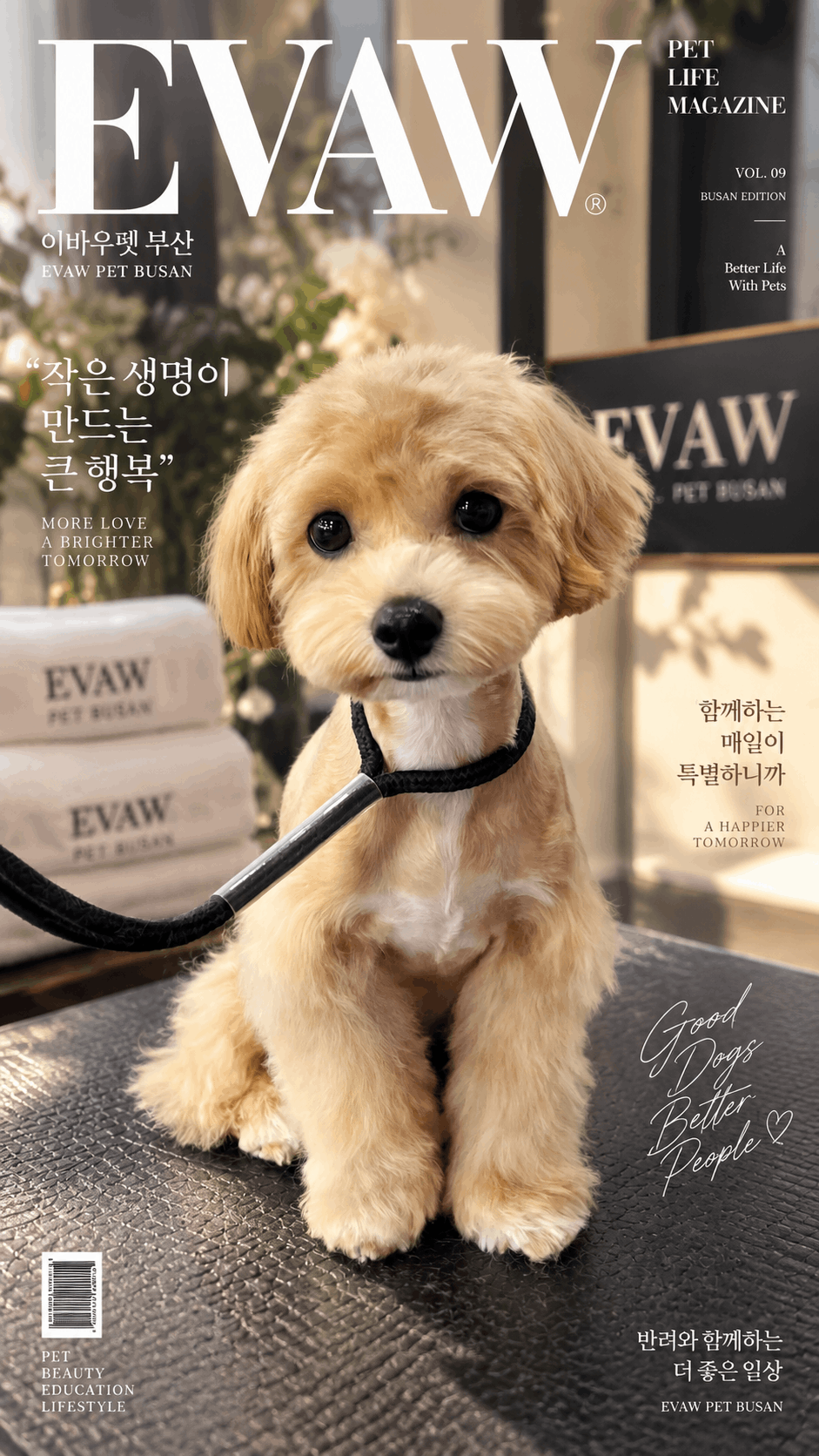 갈색 반려견의 화보 포트폴리오