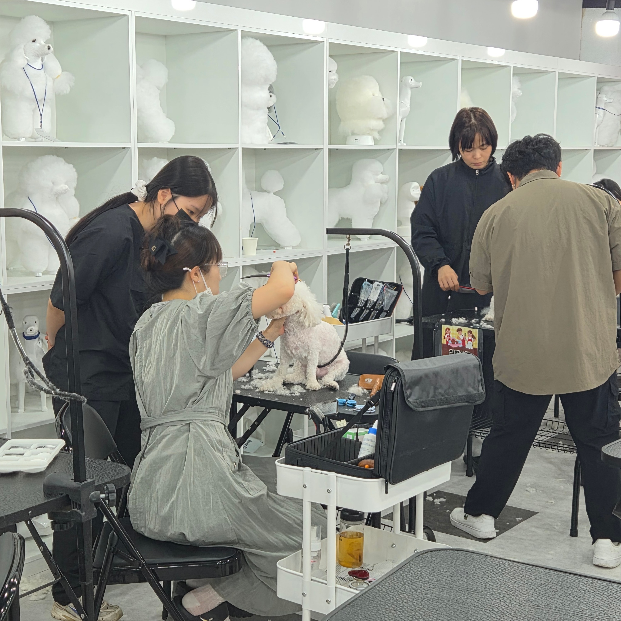 여러 수강생이 반려견 미용을 연습하는 교실 풍경