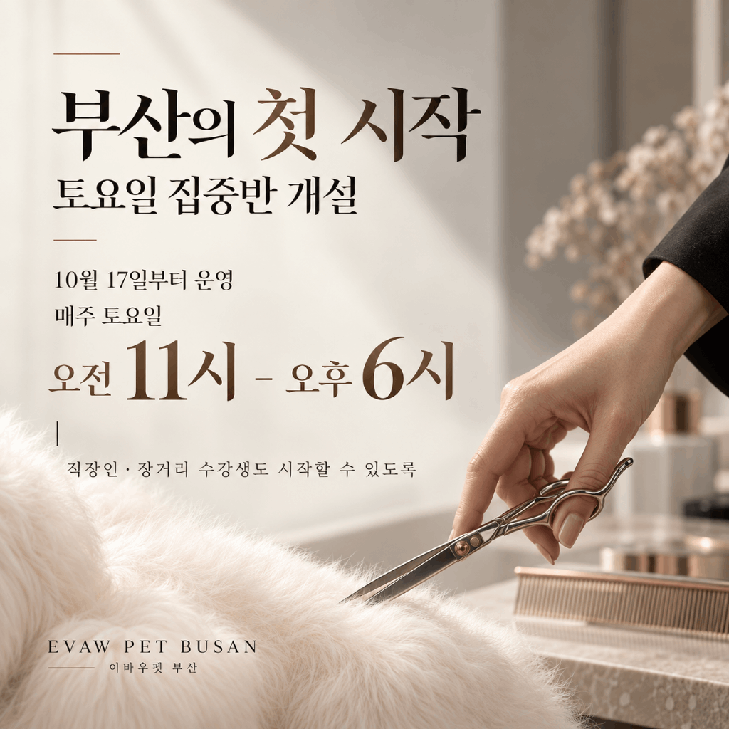 부산의 첫 시작, 토요일 집중반 개설. 10월 17일부터 매주 토요일 오전 11시부터 오후 6시까지 운영. 직장인과 장거리 수강생도 시작할 수 있도록.