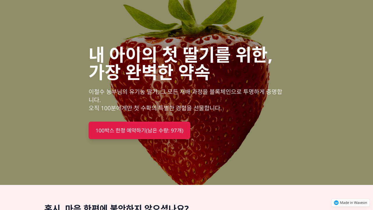 농장에서 식탁까지 쉽게 확인하는 유기농 딸기 서비스